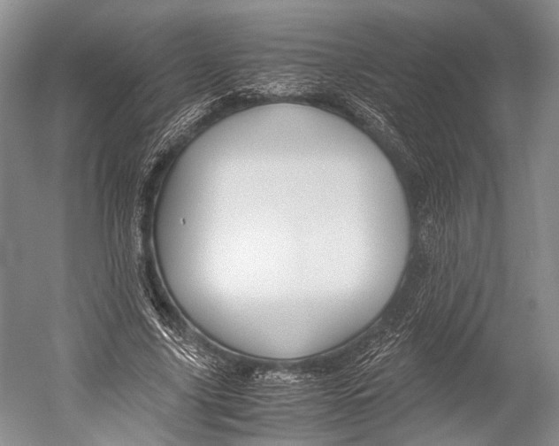 X0000052920635200508050804