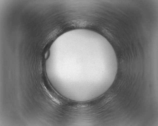 X0000052920638200508050804