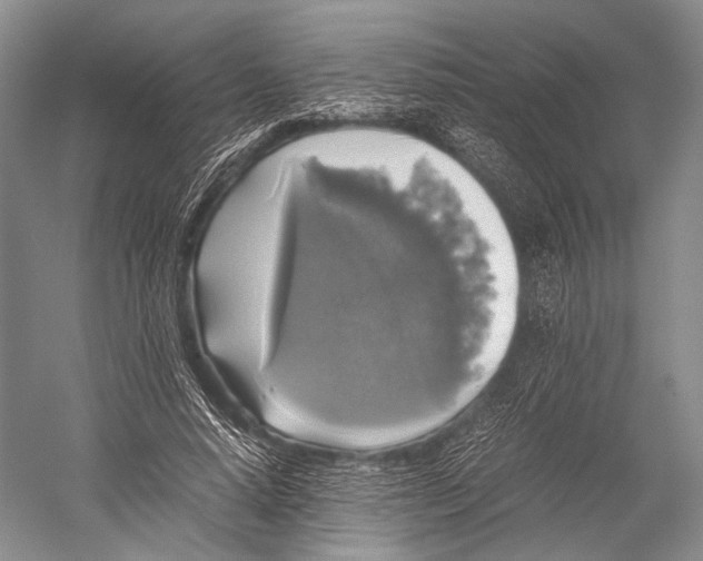 X0000052920640200508050804
