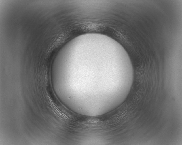 X0000052920642200508050804