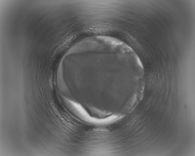 X0000052920644200508050804