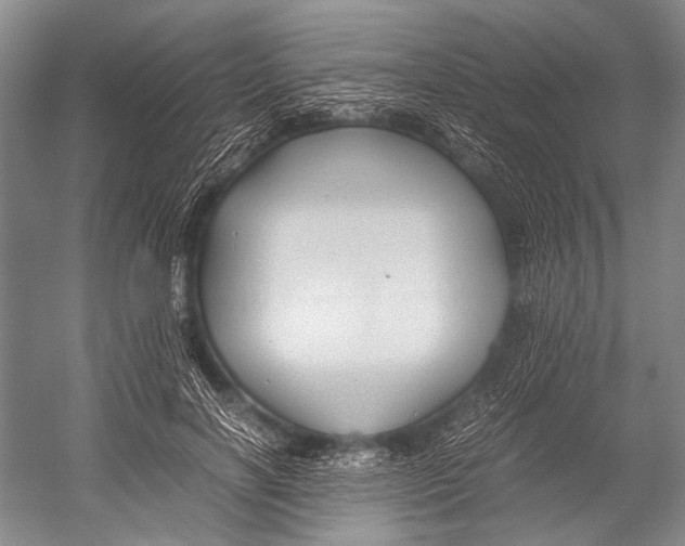 X0000052920646200508050804
