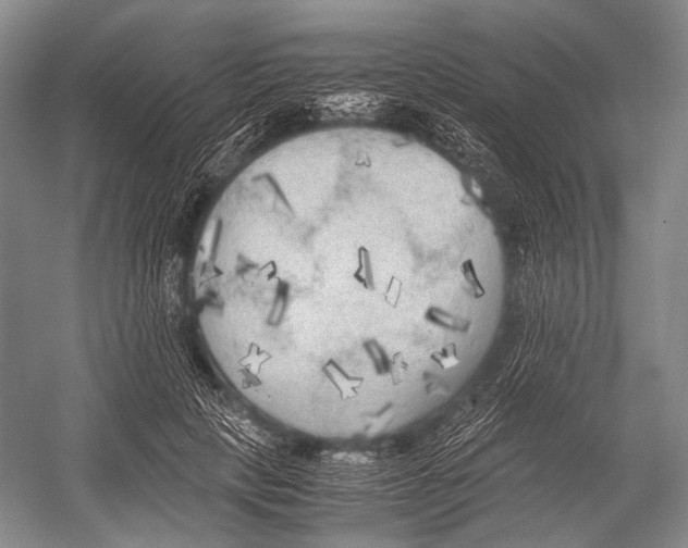 X0000052920649200508050804