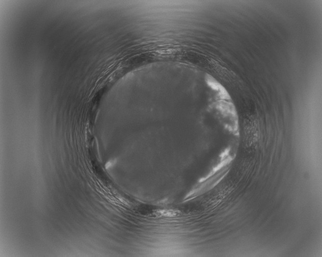 X0000052920654200508050804