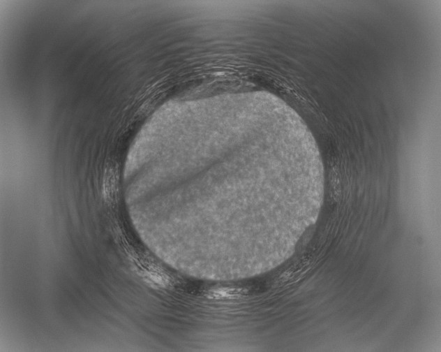X0000052920657200508050804