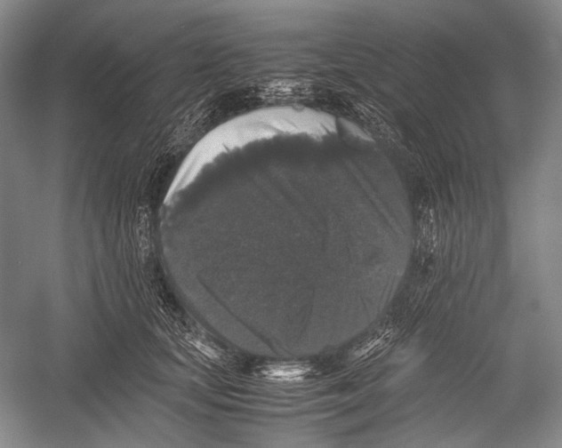 X0000052920659200508050805