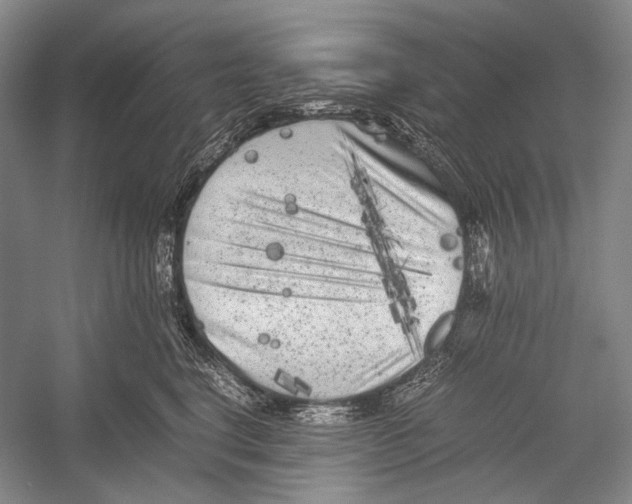X0000052920664200508050805