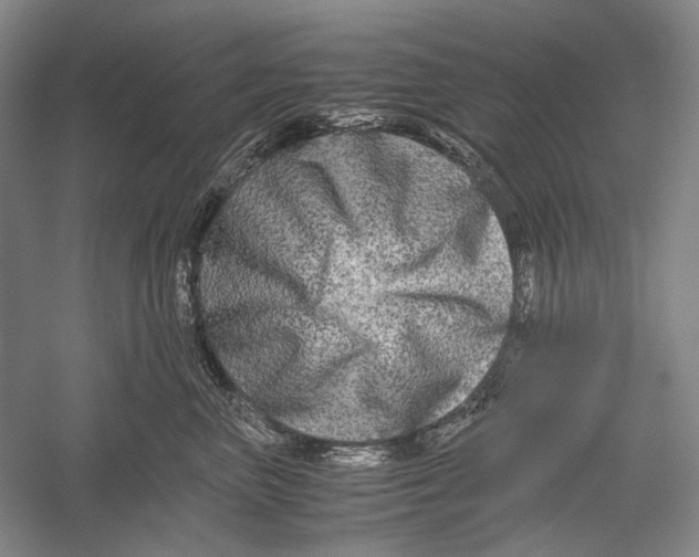 X0000052920667200508050805