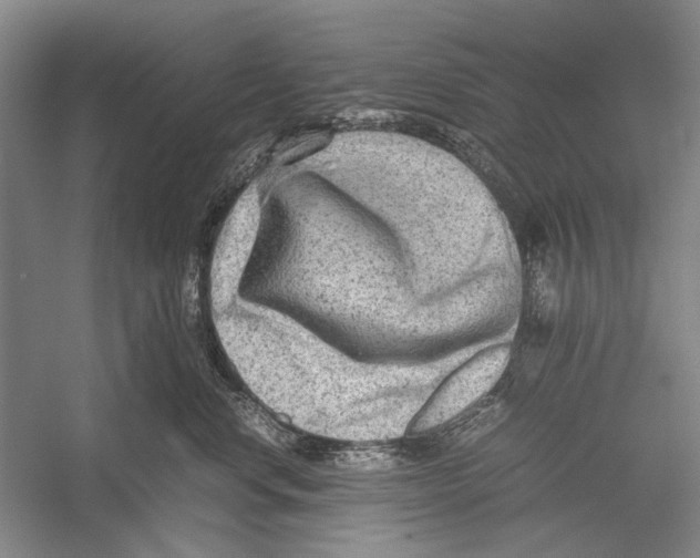 X0000052920668200508050805
