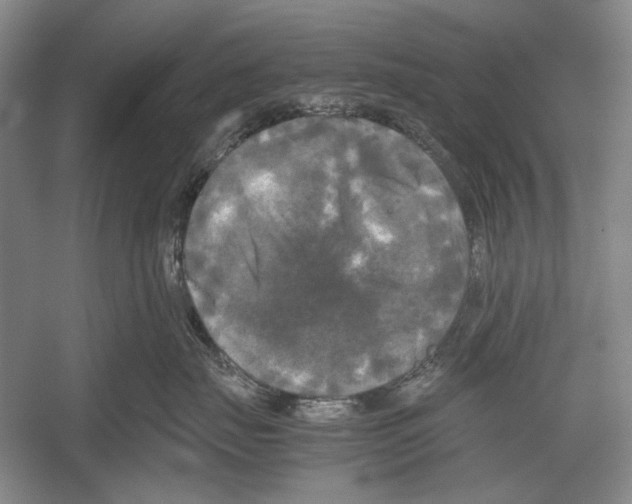 X0000052920671200508050805