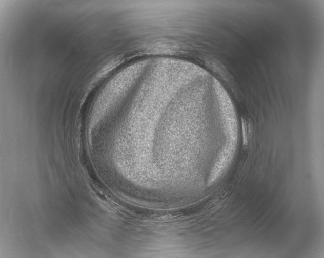 X0000052920675200508050804