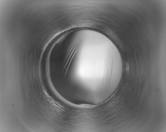 X0000052920676200508050804