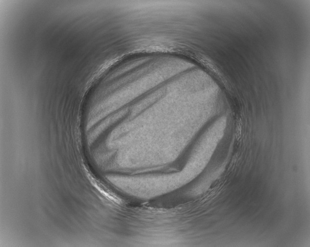 X0000052920677200508050804