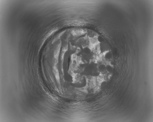 X0000052920679200508050804