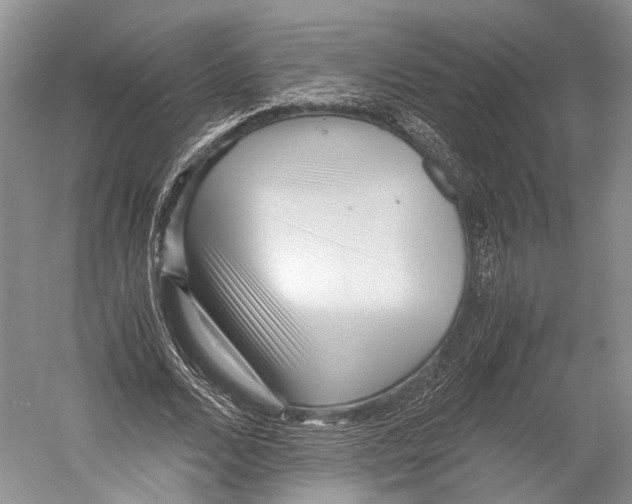 X0000052920680200508050804
