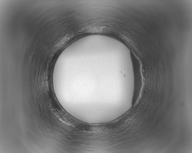 X0000052920682200508050804
