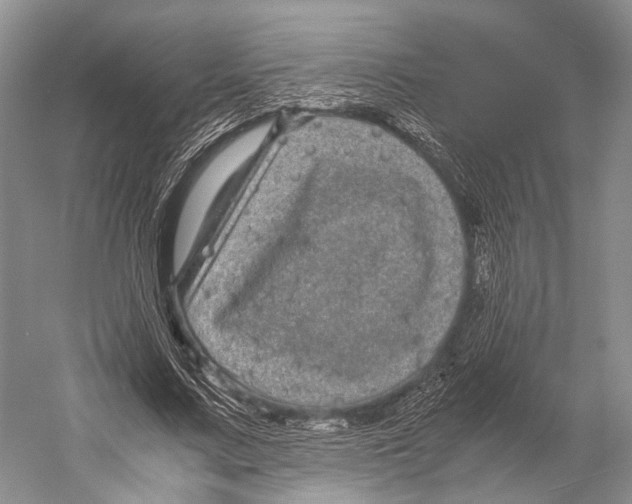 X0000052920683200508050804