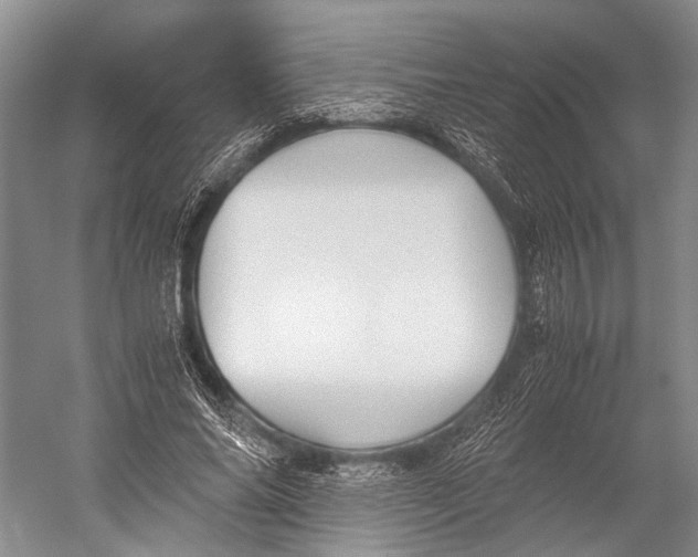 X0000052920686200508050804