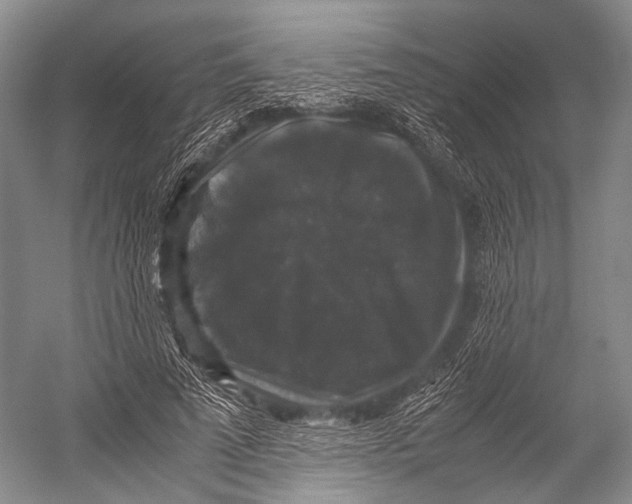 X0000052920689200508050804