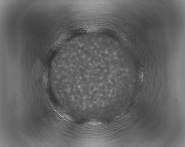 X0000052920691200508050804