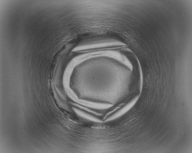 X0000052920693200508050804