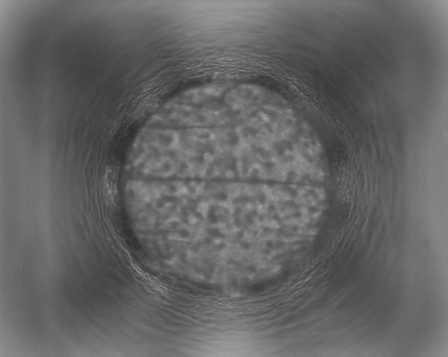 X0000052920695200508050804
