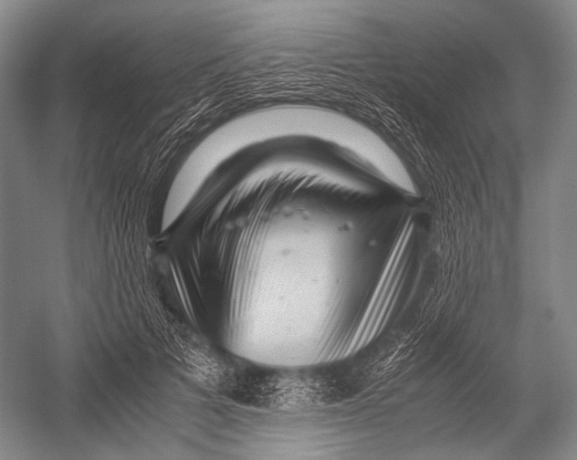 X0000052920697200508050804