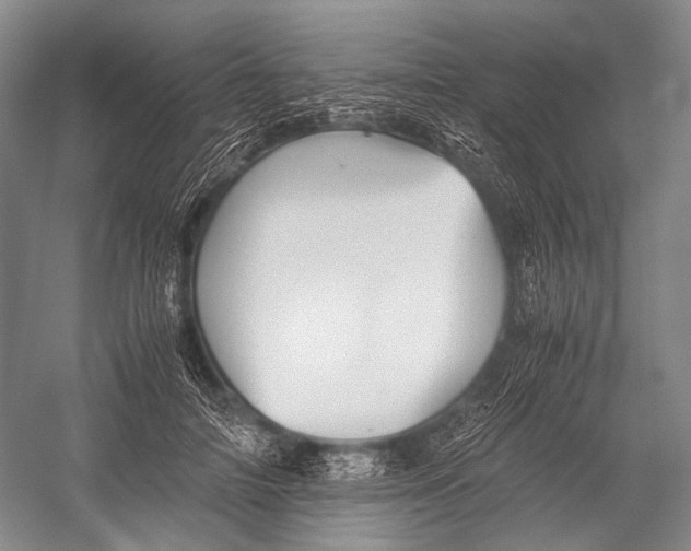 X0000052920698200508050803