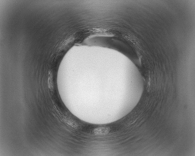 X0000052920700200508050803