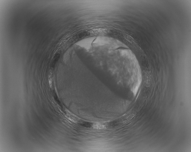 X0000052920701200508050803