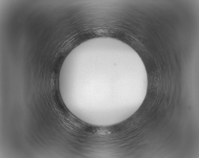 X0000052920702200508050803
