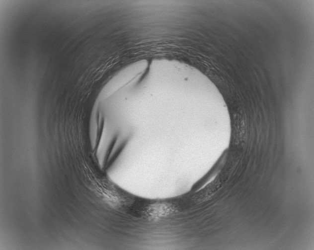 X0000052920704200508050803