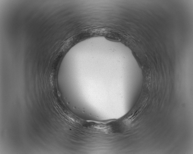 X0000052920708200508050803
