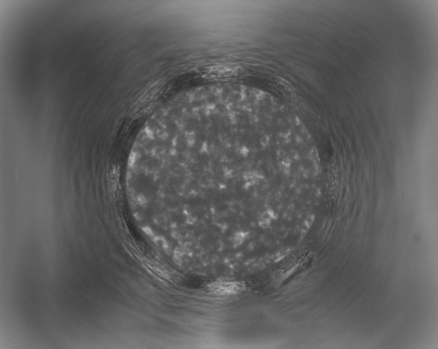 X0000052920711200508050803