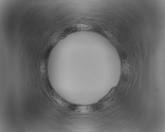 X0000052920713200508050803