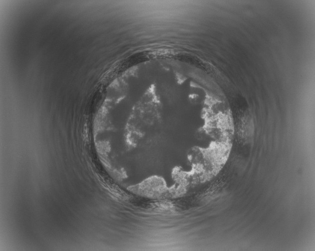 X0000052920715200508050803