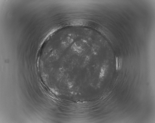X0000052920723200508050802