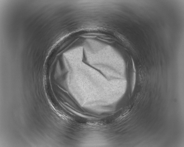 X0000052920728200508050802