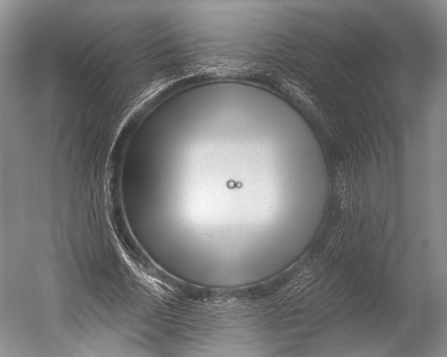 X0000052920730200508050802