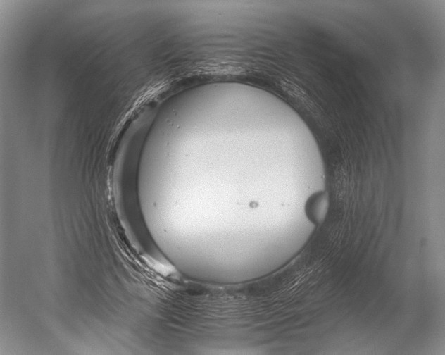 X0000052920731200508050802