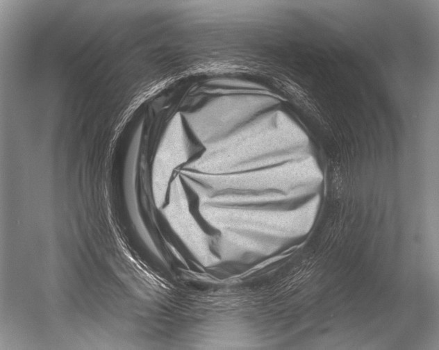X0000052920732200508050802