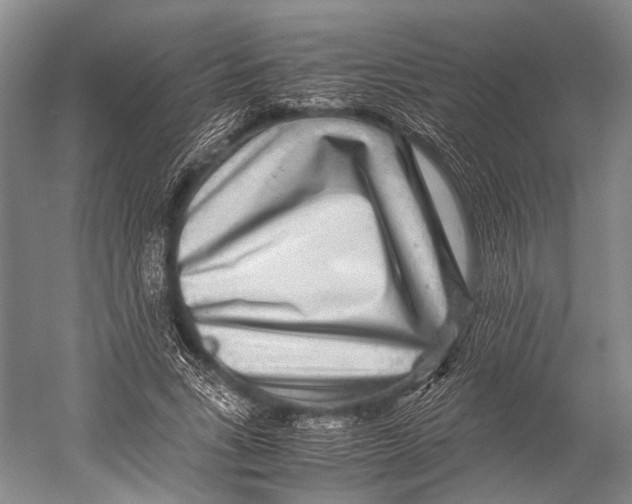 X0000052920735200508050803