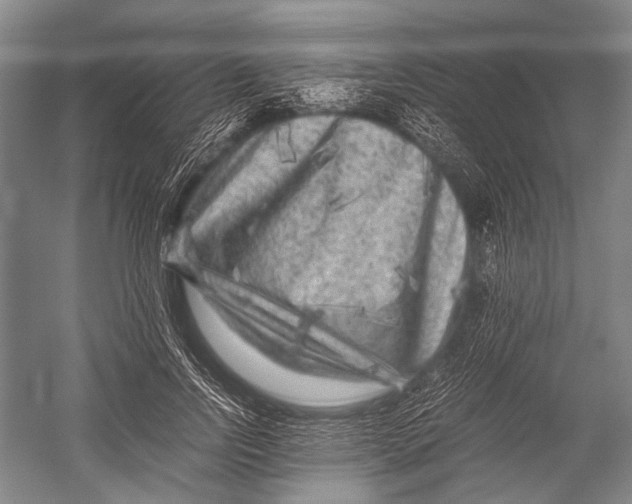 X0000052920742200508050803
