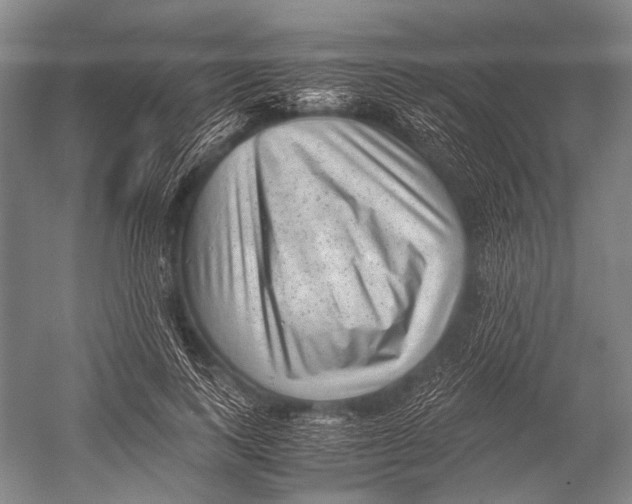 X0000052920743200508050803
