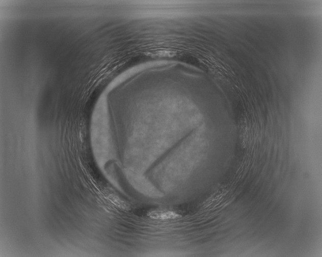 X0000052920747200508050803