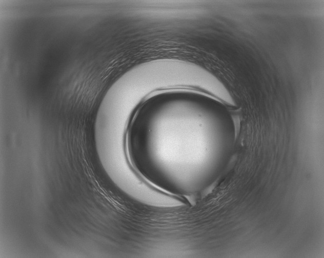 X0000052920750200508050803