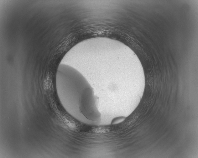 X0000052920754200508050803