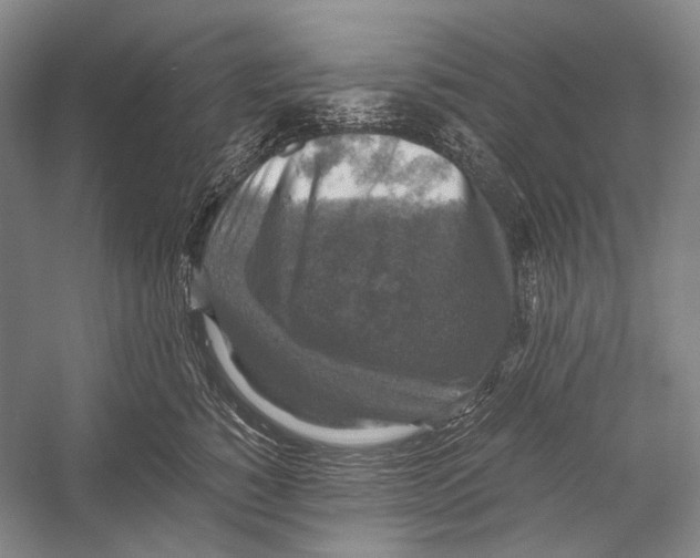 X0000052920760200508050803