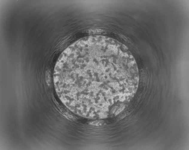 X0000052920761200508050803