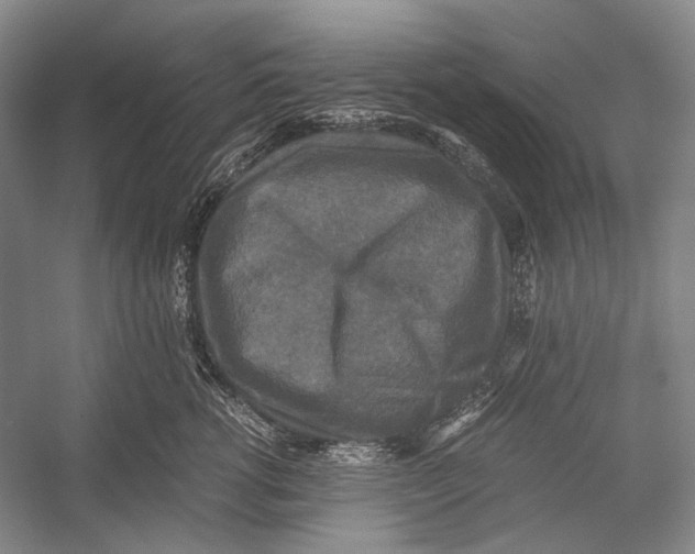 X0000052920762200508050803